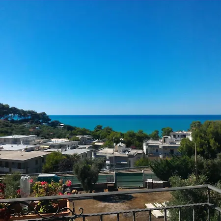 Ibisco Hotel