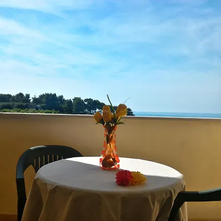Ibisco Hotel 3*
