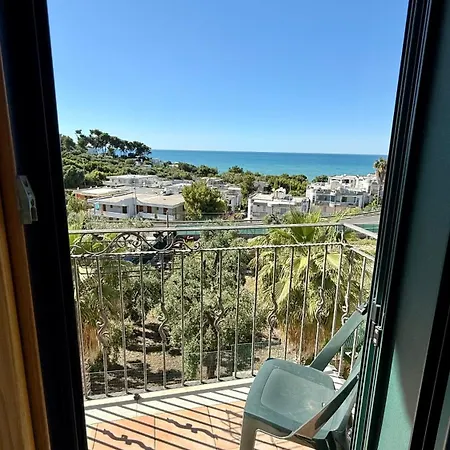 Ibisco Hotel 3*